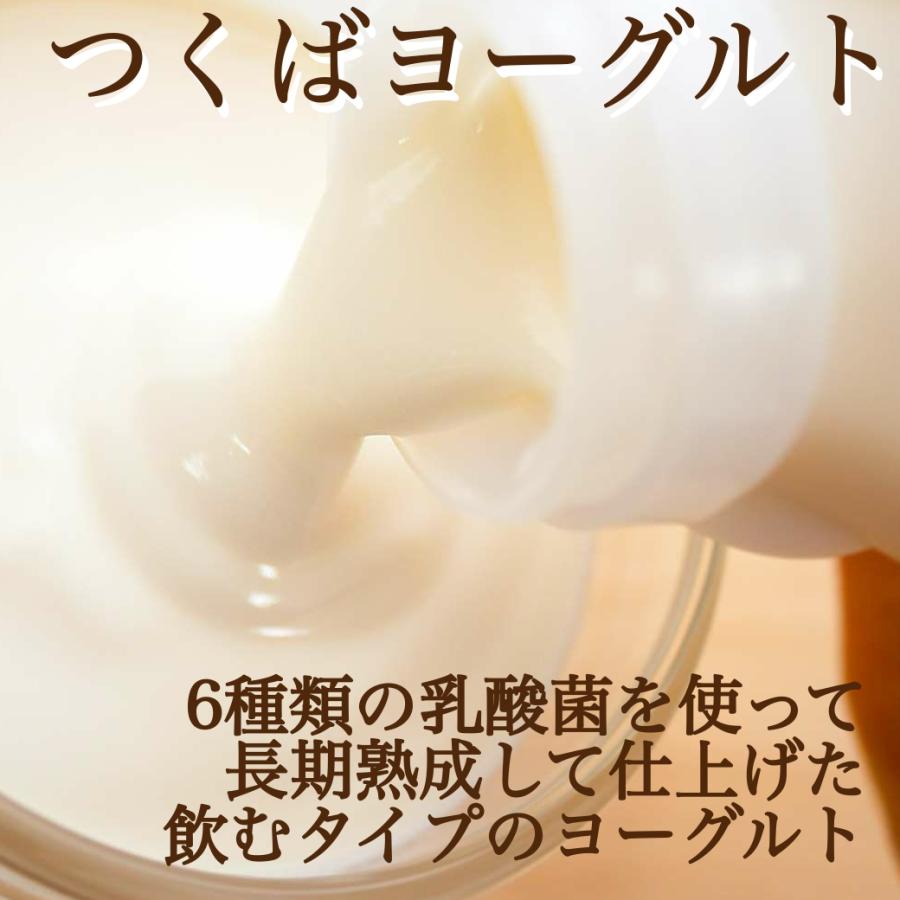 つくばヨーグルト200ml 筑波ハム 飲むヨーグルト 加糖 国産 茨城県産 乳製品 飲むヨーグルト 特産品 | ブランド登録なし | 01