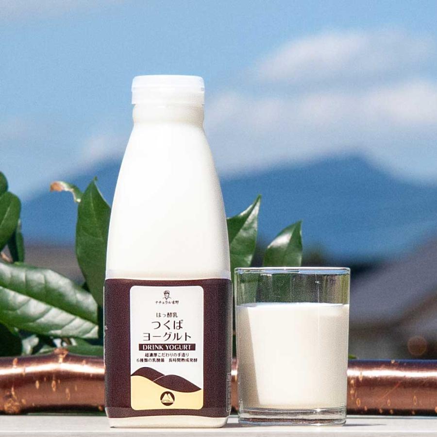 つくばヨーグルト500ml 筑波ハム 飲むヨーグルト 加糖 国産 茨城県産 乳製品 飲むヨーグルト 特産品 | ブランド登録なし