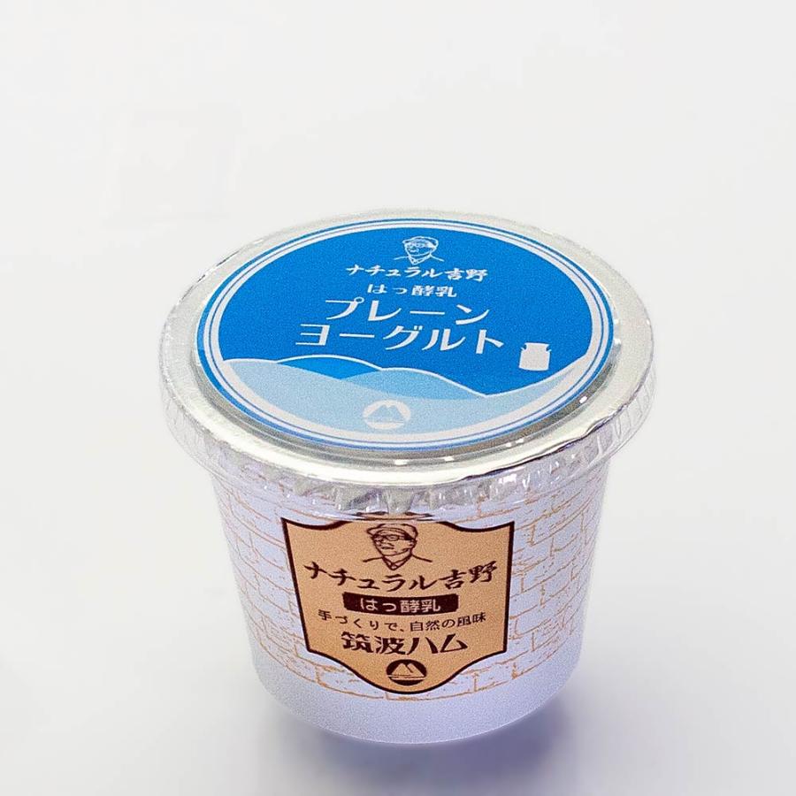 プレーンヨーグルト 100g 筑波ハム 食べるヨーグルト 無糖 国産 茨城県産 乳製品 ヨーグルト 特産品 | ブランド登録なし | 09