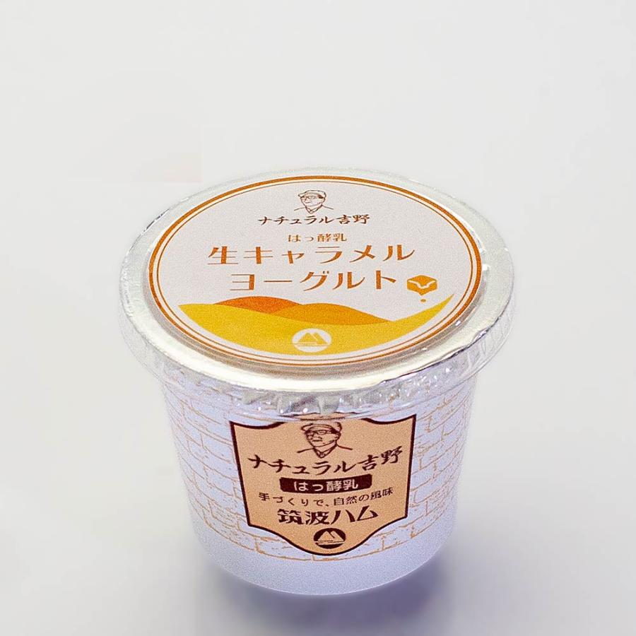 生キャラメルヨーグルト 筑波ハム 食べるヨーグルト 加糖 国産 茨城県産 乳製品 ヨーグルト 特産品 | ブランド登録なし | 03