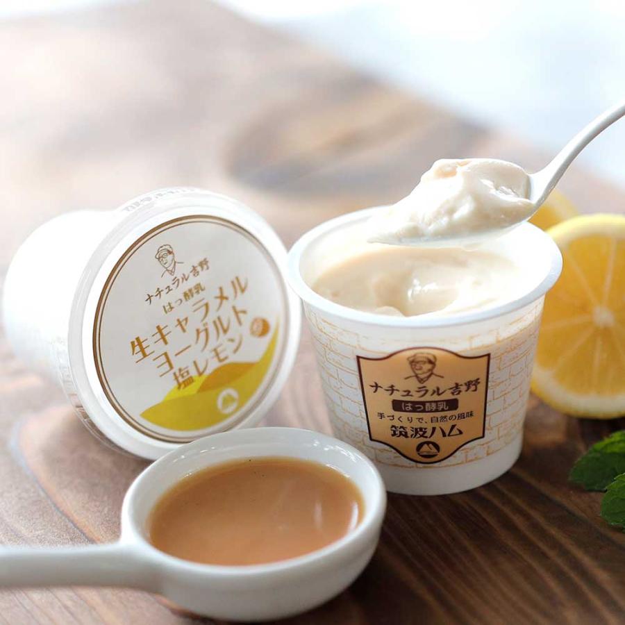 生キャラメルヨーグルト塩レモン 筑波ハム 食べるヨーグルト 加糖 国産 茨城県産 乳製品 ヨーグルト 特産品 肉 塩レモン | ブランド登録なし