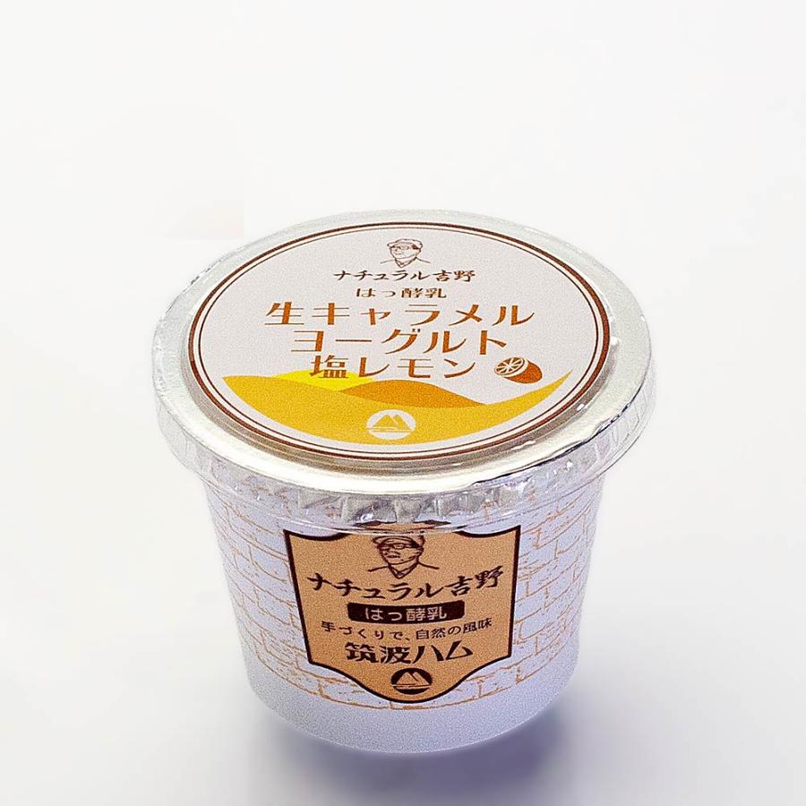 生キャラメルヨーグルト塩レモン 筑波ハム 食べるヨーグルト 加糖 国産 茨城県産 乳製品 ヨーグルト 特産品 肉 塩レモン | ブランド登録なし | 03
