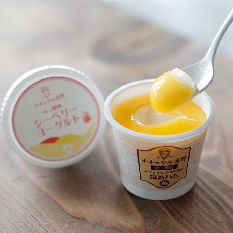 シーベリーヨーグルト 筑波ハム 食べるヨーグルト 加糖 国産 茨城県産 乳製品 ヨーグルト 特産品 | ブランド登録なし