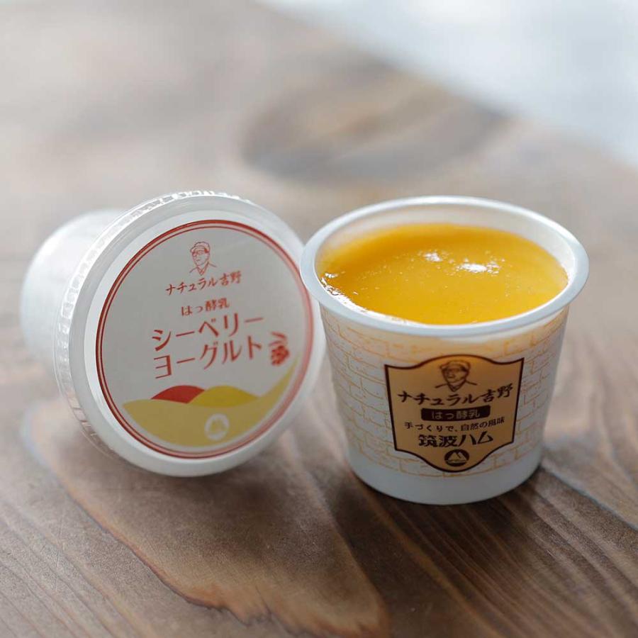 シーベリーヨーグルト 筑波ハム 食べるヨーグルト 加糖 国産 茨城県産 乳製品 ヨーグルト 特産品 | ブランド登録なし | 02
