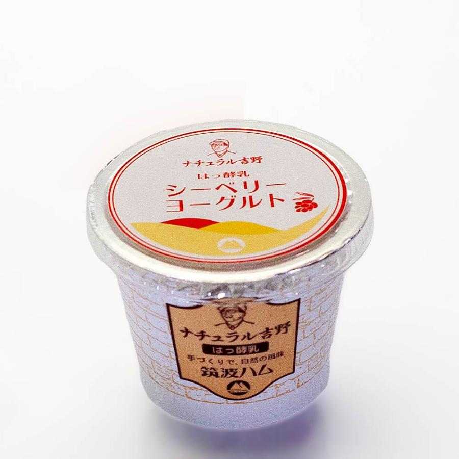 シーベリーヨーグルト 筑波ハム 食べるヨーグルト 加糖 国産 茨城県産 乳製品 ヨーグルト 特産品 | ブランド登録なし | 03