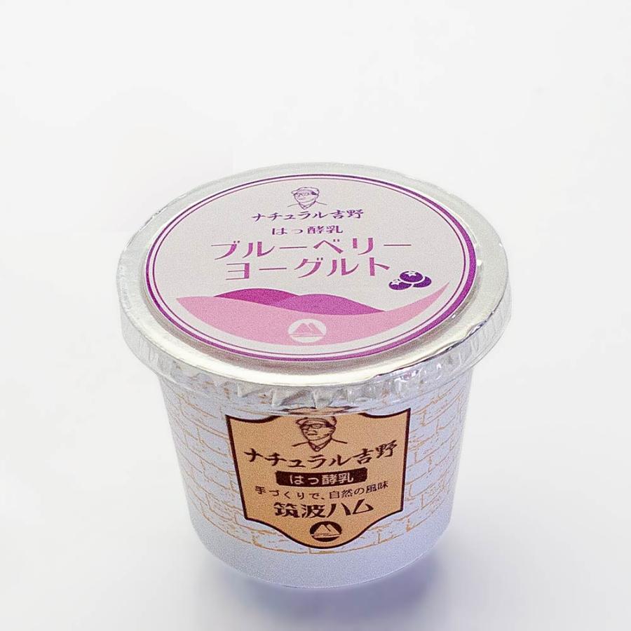 ブルーベリーヨーグルト 筑波ハム 食べるヨーグルト 加糖 国産 茨城県産 乳製品 ヨーグルト 特産品 | ブランド登録なし | 03