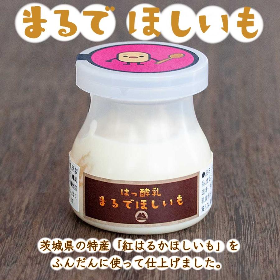 まるでほしいも 筑波ハム 食べるヨーグルト 加糖 国産 茨城県産 乳製品 ヨーグルト 特産品 ほしいも 干し芋 さつまいも 紅はるか | ブランド登録なし | 02