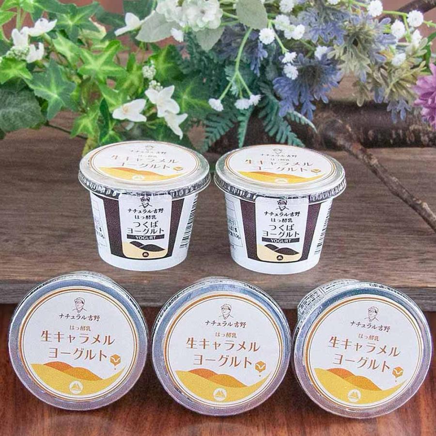 生キャラメルヨーグルト 5個パック 筑波ハム 食べるヨーグルト 加糖 国産 茨城県産 乳製品 生キャラメル 特産品 詰め合わせ | ブランド登録なし