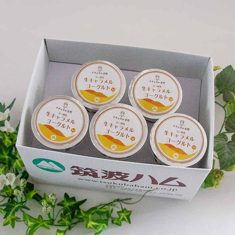 生キャラメルヨーグルト 5個パック 筑波ハム 食べるヨーグルト 加糖 国産 茨城県産 乳製品 生キャラメル 特産品 詰め合わせ | ブランド登録なし | 01