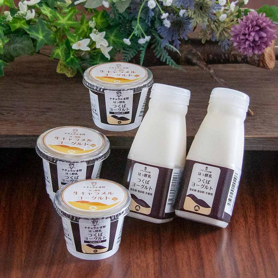 生キャラメルヨーグルト ＆ つくばヨーグルト パック 筑波ハム 食べるヨーグルト 飲むヨーグルト 加糖 国産 茨城県産 乳製品 生キャラメル 特産品 詰め合わせ | ブランド登録なし