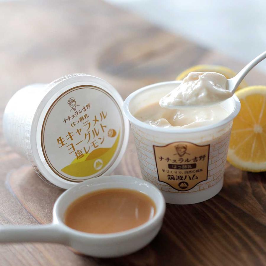 生キャラメルヨーグルト ＆ つくばヨーグルト パック 筑波ハム 食べるヨーグルト 飲むヨーグルト 加糖 国産 茨城県産 乳製品 生キャラメル 特産品 詰め合わせ | ブランド登録なし | 02