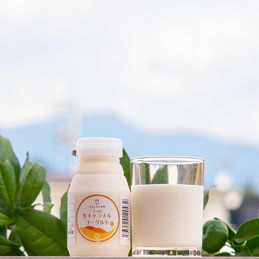 ドリンクヨーグルト（生キャラメル） 150ml 筑波ハム 飲むヨーグルト 加糖 国産 茨城県産 乳製品 生キャラメル 特産品 | ブランド登録なし