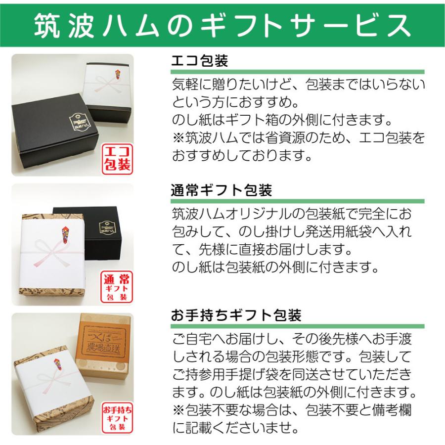 筑波ハムギフトセット22-06 ハム ソーセージ お中元 土日曜日出荷可能 御礼 御祝 内祝い 誕生日 最高級 茨城県 特産品 肉 父の日 お中元|29886|09