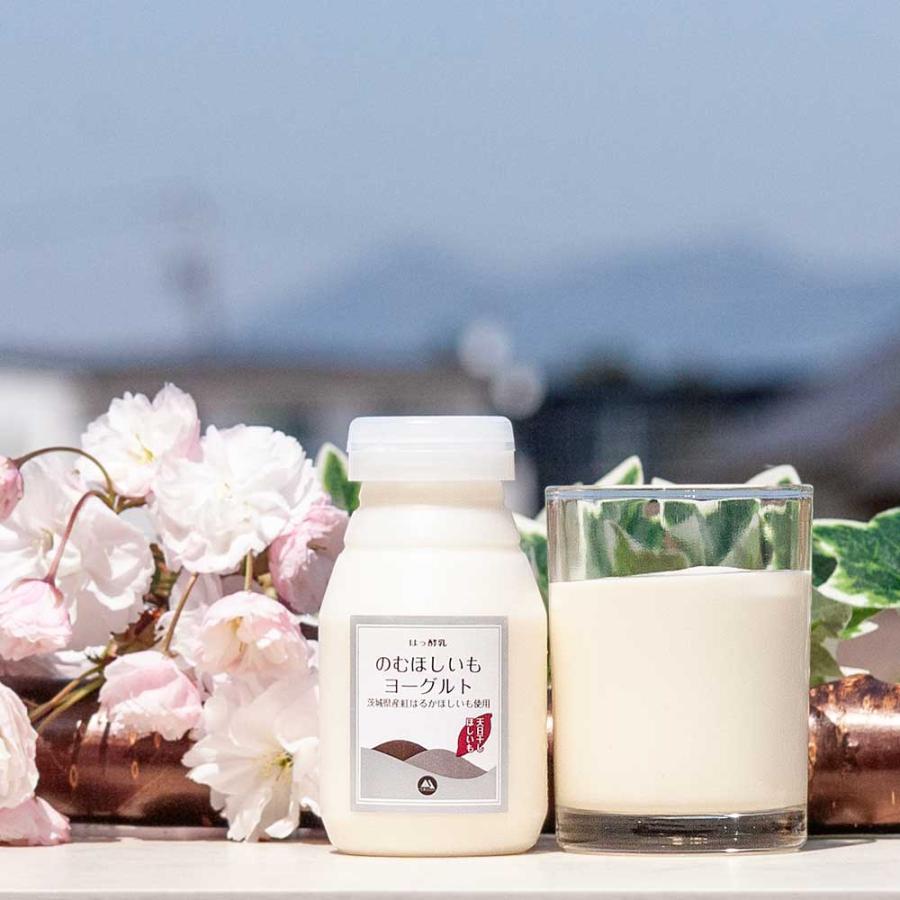 飲むほしいもヨーグルト 飲み比べパック 筑波ハム 飲むヨーグルト 加糖 国産 茨城県産 乳製品 ほしいも 紅はるか 特産品 ご当地 詰め合わせ 飲みくらべ | ブランド登録なし | 01