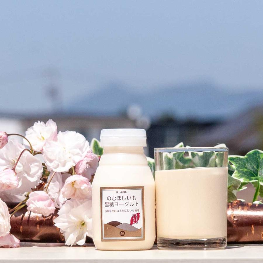 飲むほしいもヨーグルト 飲み比べパック 筑波ハム 飲むヨーグルト 加糖 国産 茨城県産 乳製品 ほしいも 紅はるか 特産品 ご当地 詰め合わせ 飲みくらべ | ブランド登録なし | 03