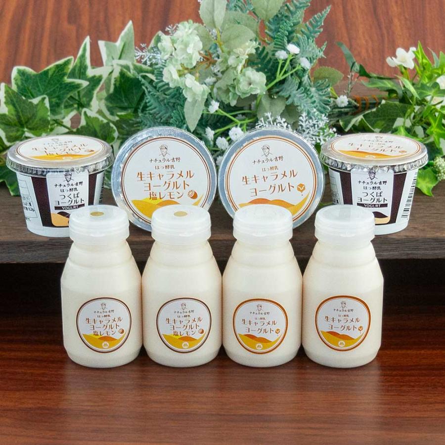 生キャラメルヨーグルト 三昧パック 筑波ハム 飲むヨーグルト 食べるヨーグルト 加糖 国産 茨城県産 乳製品 生キャラメル 瀬戸内塩レモン 特産品 詰め合わせ | ブランド登録なし