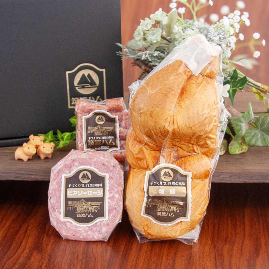 お歳暮 ギフト セット みやび 筑波ハム 土日出荷可能 御礼 お祝 内祝 誕生日 高級ハム 茨城県 特産品 肉 2025 スモークチキン 冬ギフト | ブランド登録なし | 03