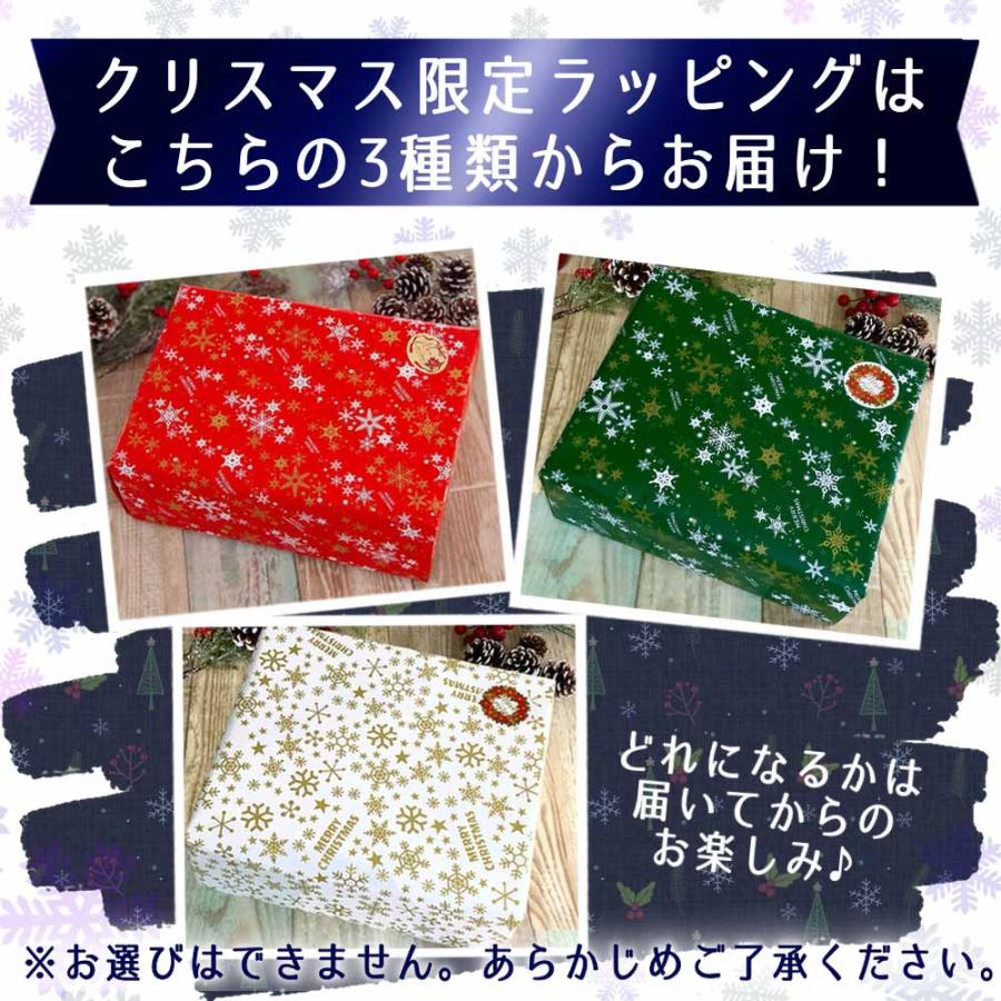 お歳暮ギフトセット ちどり 筑波ハム 土日出荷可能 御礼 お祝 内祝 誕生日 高級ハム 茨城県 特産品 肉 ソーセージ 2025 冬ギフト クリスマス | ブランド登録なし | 10