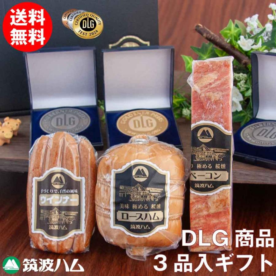 DLGコンテスト受賞商品ギフトセット-極み- ロースハム ウインナー 高級ハム DLG金賞銀賞受賞 冬ギフト 御祝い 御礼 内祝い お返し 贈り物 プレゼント 感謝 | ブランド登録なし | 01