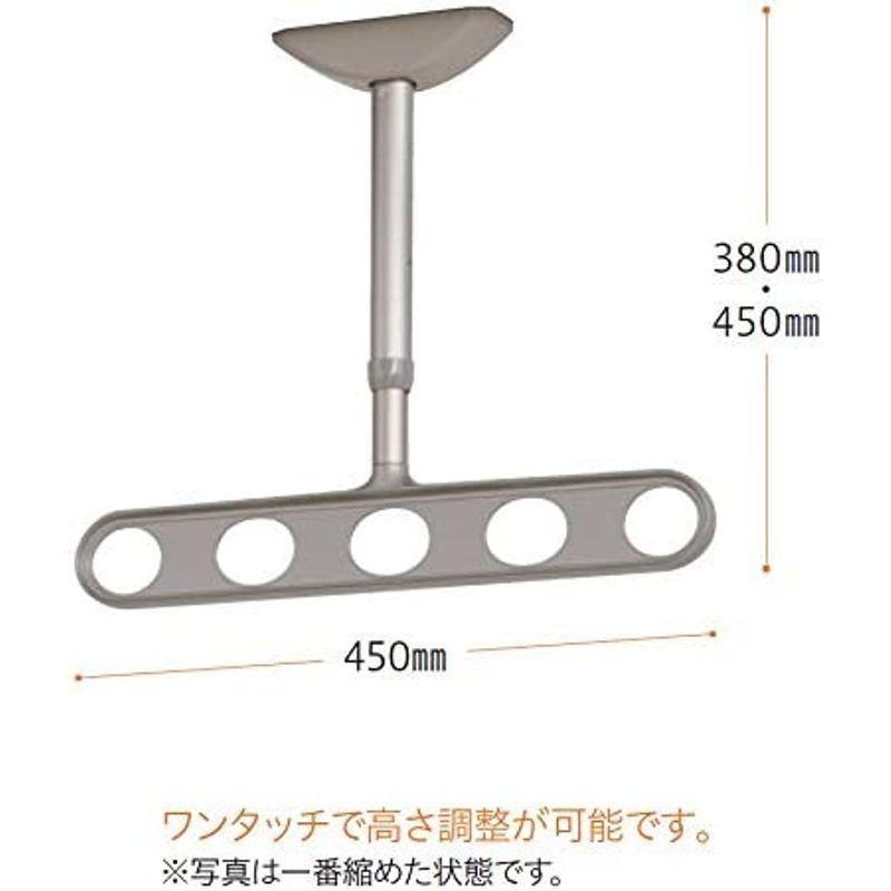 衣類収納・洗濯用品　川口技研　軒天用物干し　ホスクリーン　ZA-0445-ST　ステンカラー　2本1組