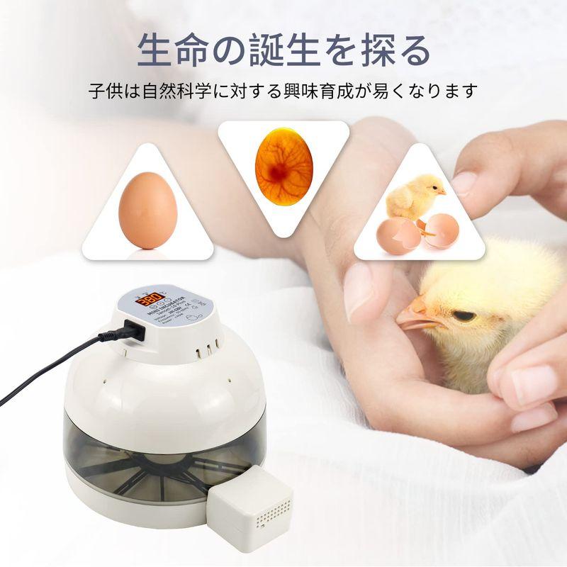 家電・生活用品 HARCOTY 自動孵卵器 インキュベーター 小型孵卵器 10個入卵 鳥類専用ふ卵器 自動転卵 自動温度制御 湿度保持 たまご 鶏 アヒル - 1