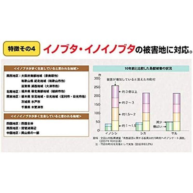 イノシシ対策　イノシシなぜ逃げる?　撃退率95％以上　50個セット　イノシシ　撃退　イノシシ　猪　鳥獣　猪被害　猪よけ