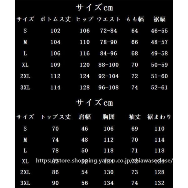 スノーボードウェア 上下 スキーウェア メンズ レディース スキー 上下セット ジャケット パンツ アウトドア 登山 男女兼用 撥水防風 保温 雪遊び_2