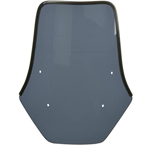 ハリケーン (HURRICANE) スクリーン スモーク KATANA 19