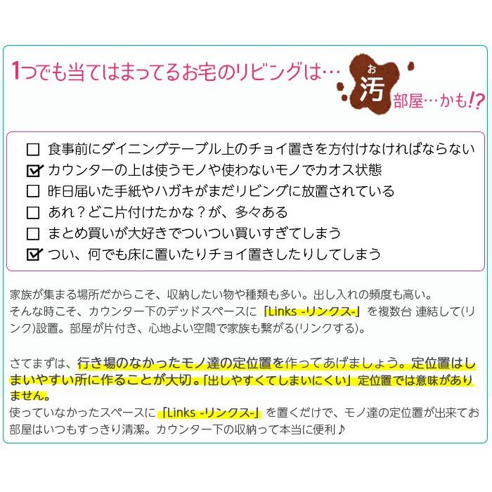 カウンター下収納 食器棚 ロータイプ Links リンクス90D お子様のいる家庭でも安心して使える 幅90cm 扉タイプ 送料無料 エール90Dの画像