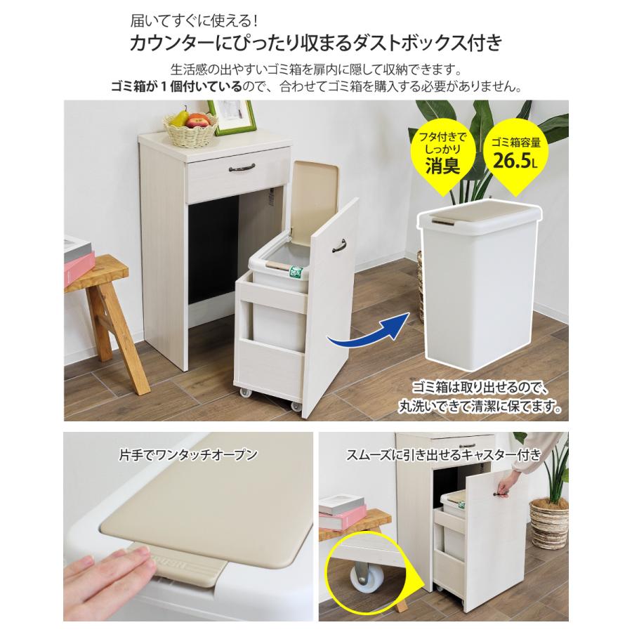 ゴミ箱を隠せるカウンター 幅44.5cm 1分別 26.5L ダストボックス収納