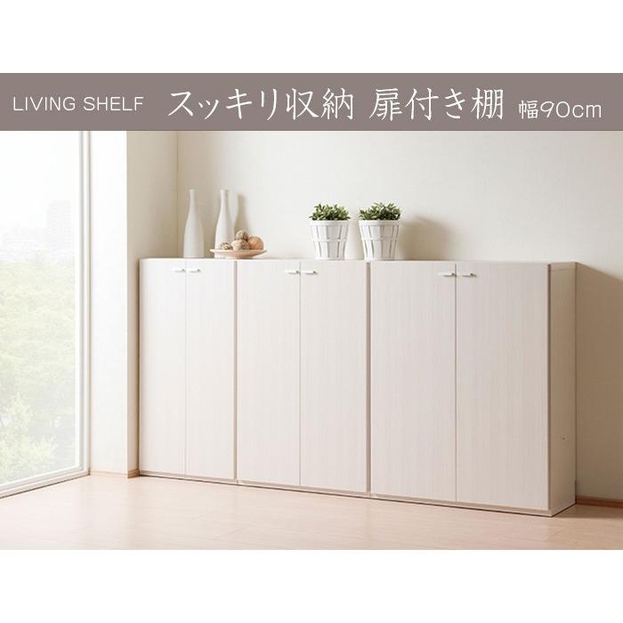 スッキリ収納 扉付き棚 シンプル 壁面収納 日本製 送料無料_1