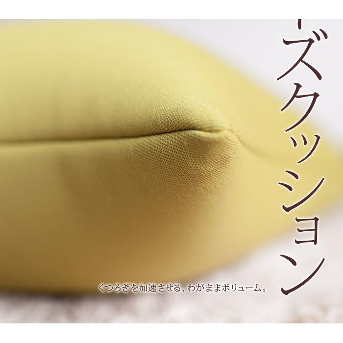 ビーズクッション PLOT プロット2個セット極小ビーズと伸びる生地の程よいムニムニ感 オトナのビー 送料無料 |  | 02