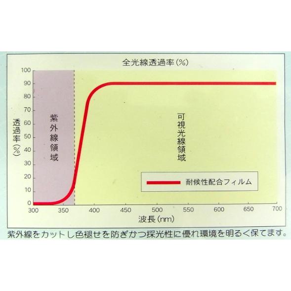 【在庫セール】菱興プラスチック 糸入り透明シート (ハトメ穴有り・ひも付) 約1 菱興プラスチック 糸入り透明シート 約1.8m×2.7m (ハトメ穴有り・ひも