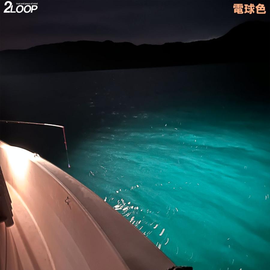 高輝度 LED 集魚ライト イカ釣り 【カラー選択】【商品選択】船舶 船