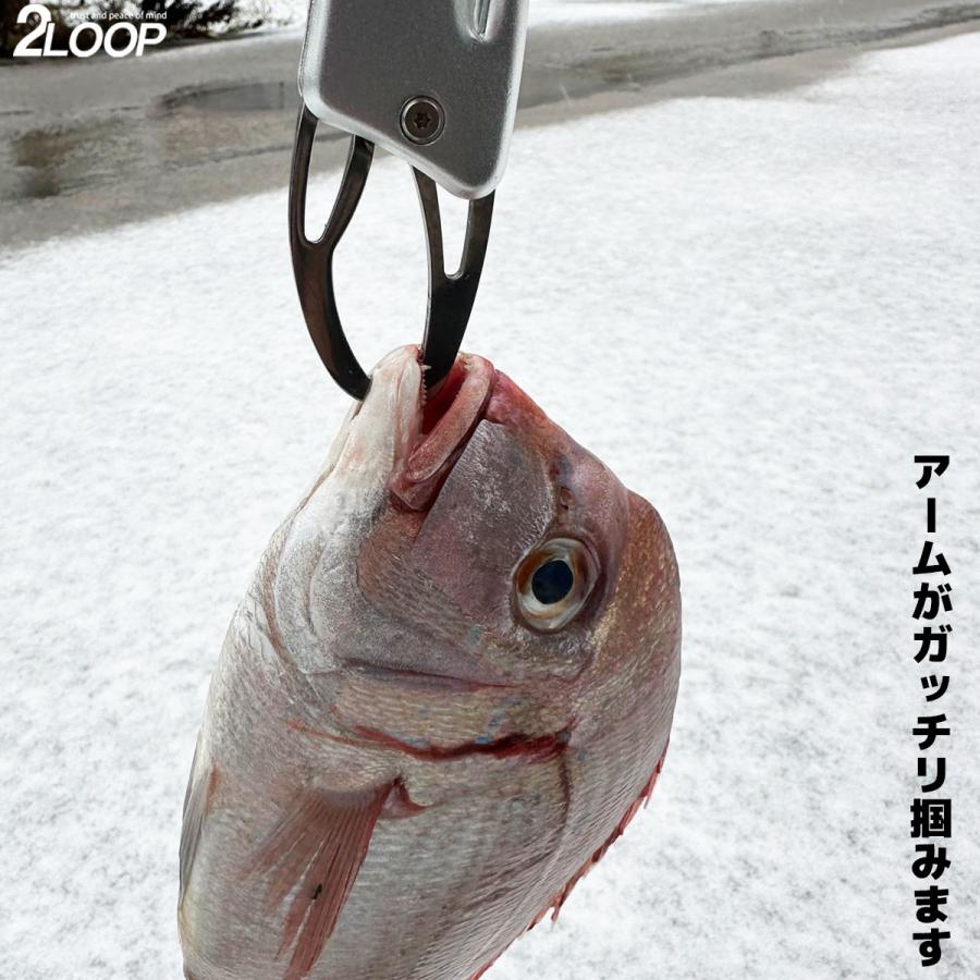 作りが丈夫 しっかり掴める トリガー タイプの フィッシュグリップ フィッシング プライヤー 釣り 魚 つかみ |  | 02
