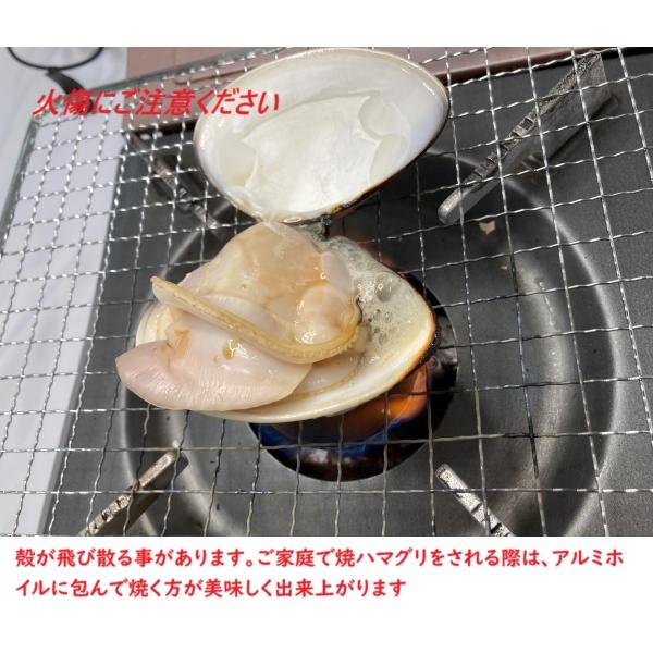 殻付はまぐり （半生仕立て 500gパック・9粒入） : 二枚貝屋 - 通販