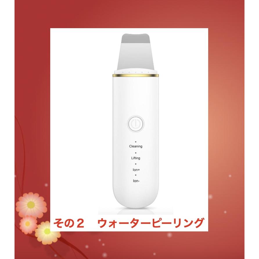 2025年 福袋 マルチ美顔器 ウォーターピーリング 電動洗顔ブラシ : 2mk