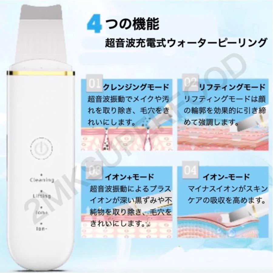2025年 福袋 マルチ美顔器 ウォーターピーリング 電動洗顔ブラシ : 2mk