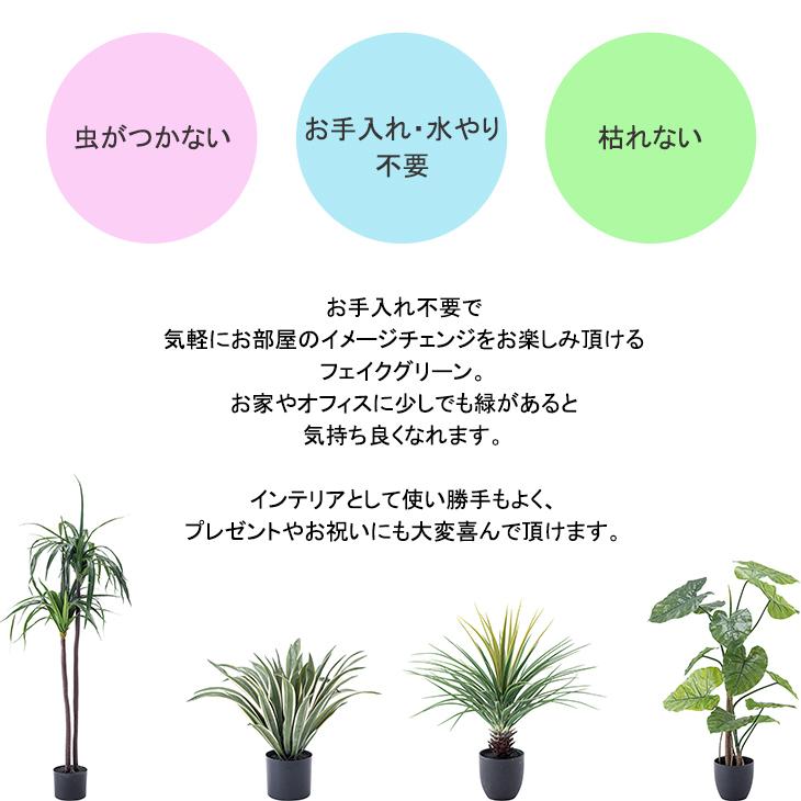 造花 アガベ 緑 観葉植物 植物 リアル 植木鉢 水やりなし アートフラワー 店舗 ディスプレイ オブジェ フェイクグリーン お洒落 Azm Grn 14 Hikeman 通販 Yahoo ショッピング