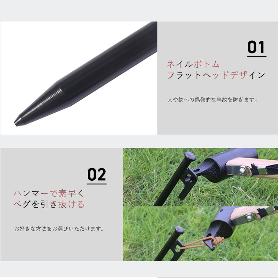 EIZER CAMP（アイゼルキャンプ） 鍛造ペグ 30cm ペグ 8本組 ペグセット