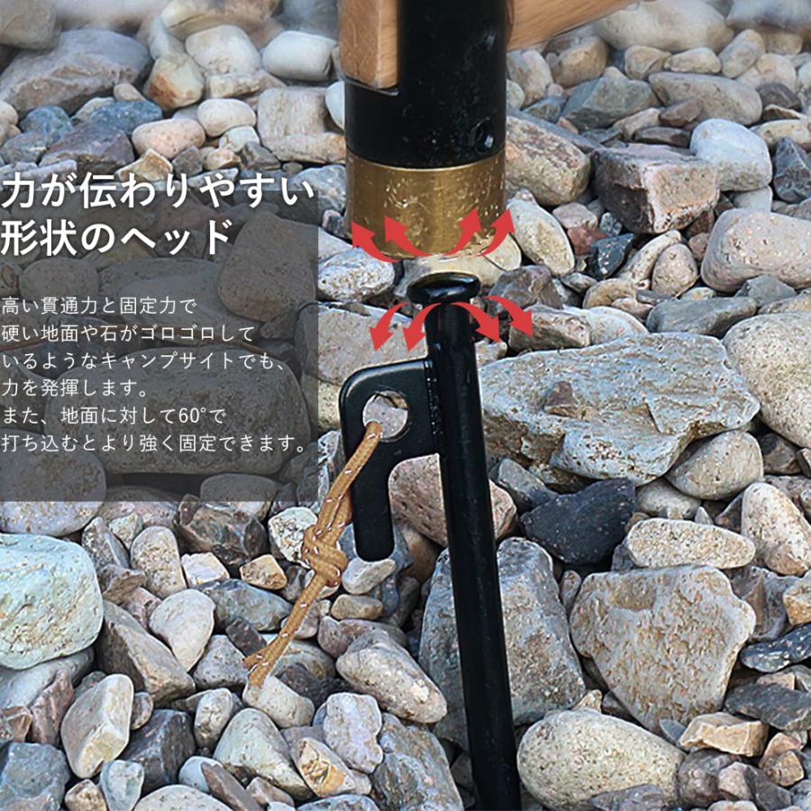 EIZER CAMP（アイゼルキャンプ） 鍛造ペグ 30cm ペグ 8本組 ペグセット