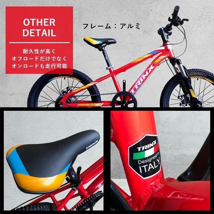 TRINX（トリンクス） 子供用 自転車 MTB マウンテンバイク 7段変速 20