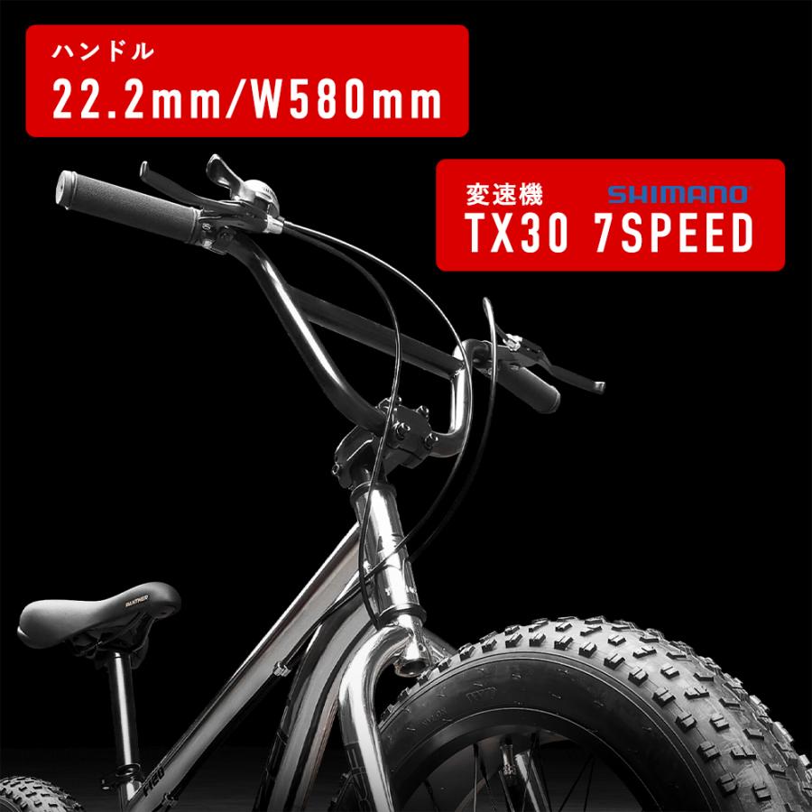 EIZER ファットバイク 自転車 雪道 砂浜 シルバー メッキ 20 EIZER ファットバイク 自転車 雪道 砂浜 シルバー メッキ 20