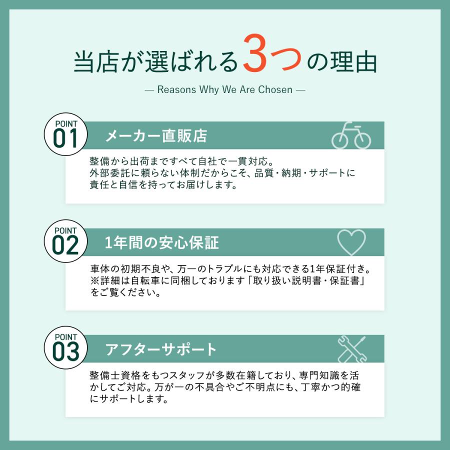 EIZER（アイゼル） ミニベロ 軽量 20インチ 自転車 小径車 8段変速