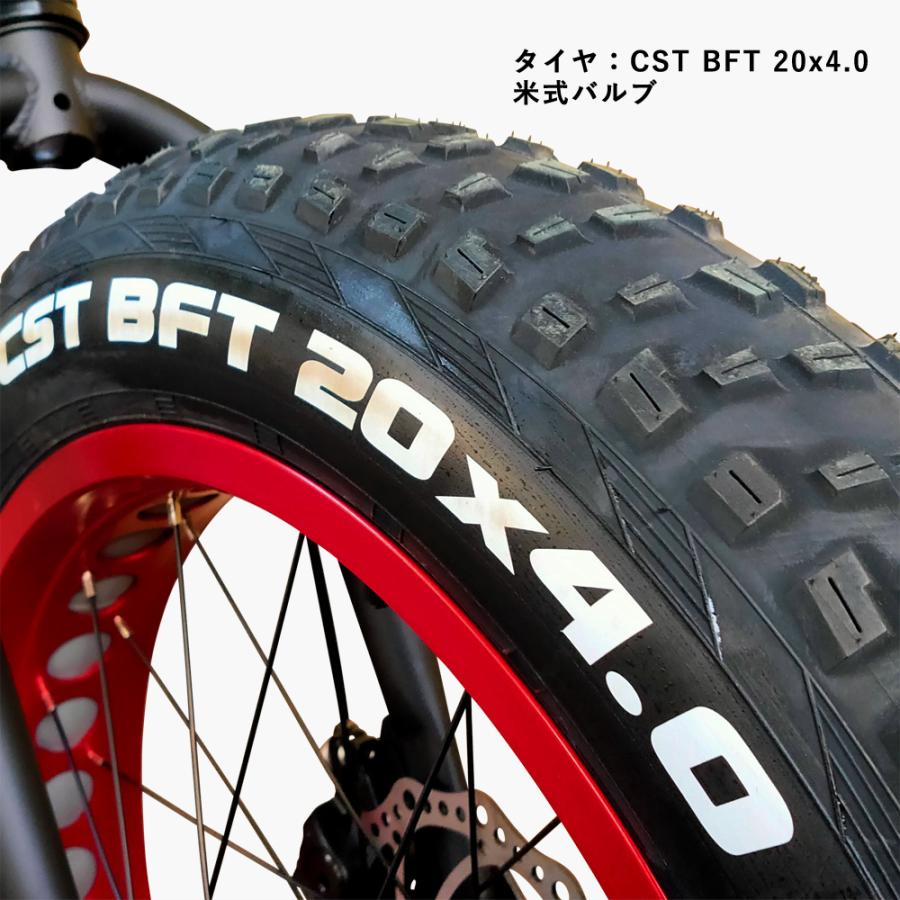EIZER（アイゼル） ファットバイク 自転車 20インチ 極太タイヤ 太い