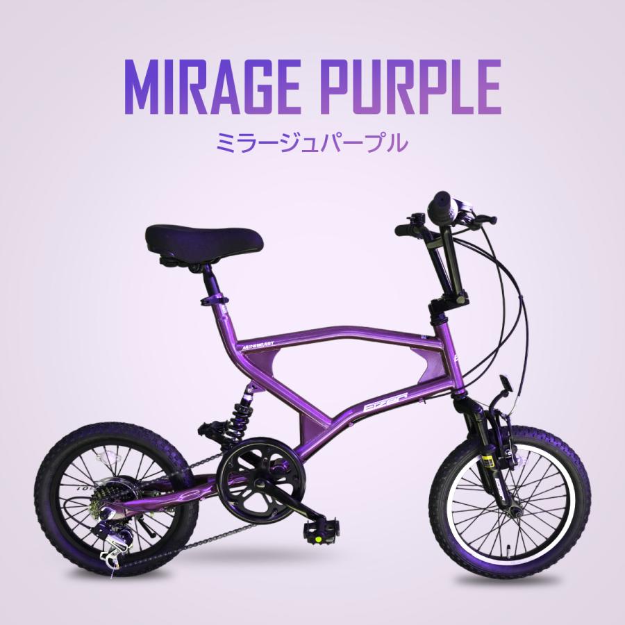 ミニベロ EIZER MINIBEAST 16インチ コンパクト シマノ 付属品 フル