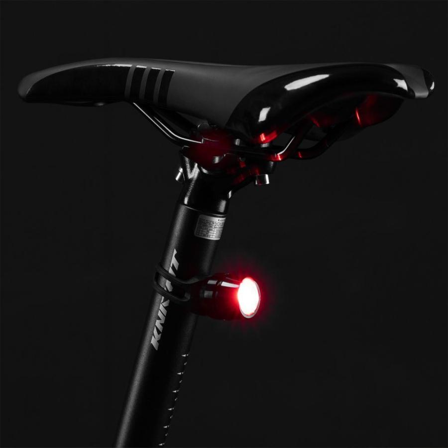 超人気の ライト 自転車 テールライト シートポスト Usb充電 軽量 コンパクト 生活防水 Organizacaosilveira Com Br