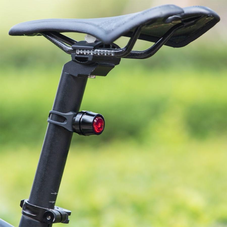 超人気の ライト 自転車 テールライト シートポスト Usb充電 軽量 コンパクト 生活防水 Organizacaosilveira Com Br
