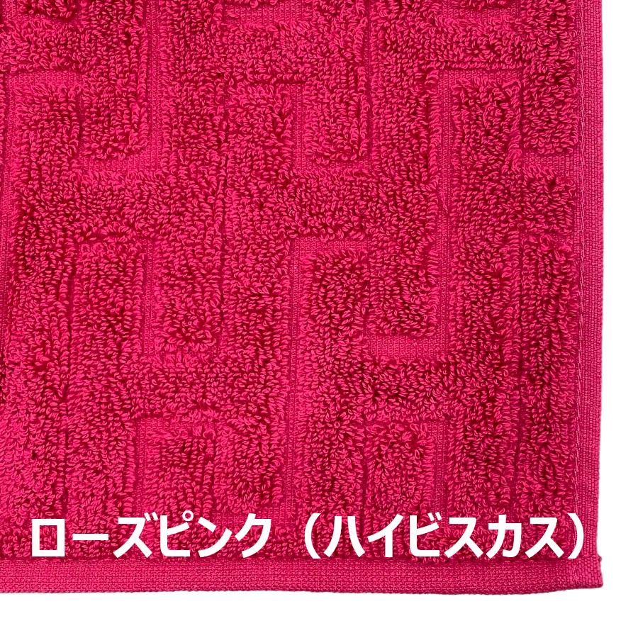 観葉植物 153、ユッカロストラータ65 ポットごと発送
