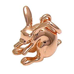 シルバーアクセサリー レディース ペンダント・ネックレス ドリーム うさぎ 月 pe1697 ペンダントトップのみ |  | 01